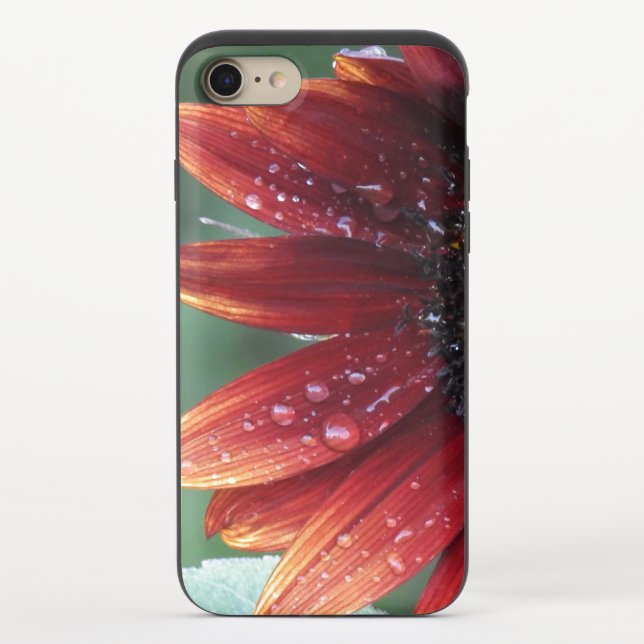 Red Sunflower Petals And Rain Drops  Uncommon iPhone Case (Back)