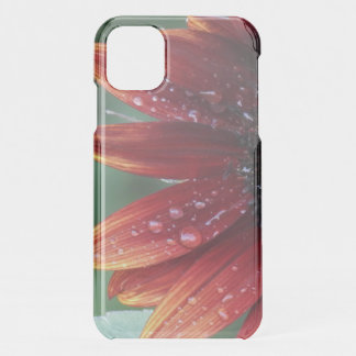 Red Sunflower Petals And Rain Drops   iPhone 11 Case