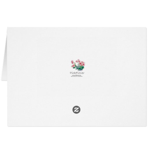 Red Sunflower Sketch (Back Horizontal)