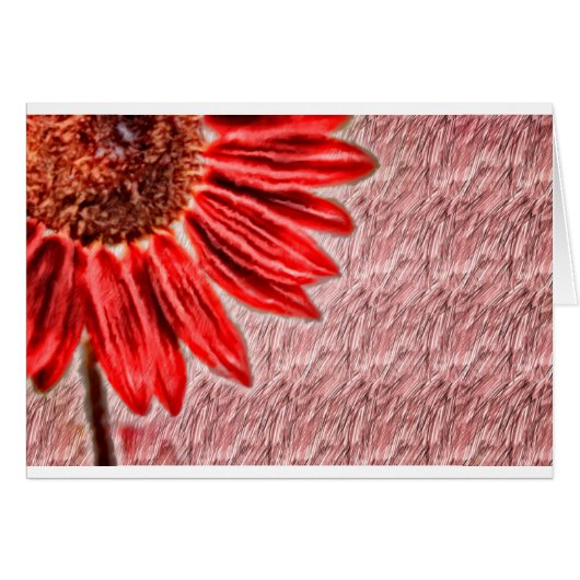 Red Sunflower Sketch Cards (Front Horizontal)