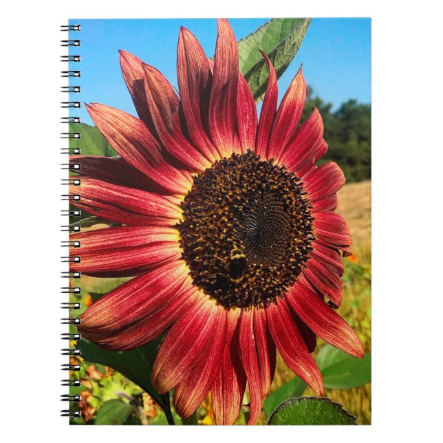 Red Sunflower with Bee Notebook (Front)