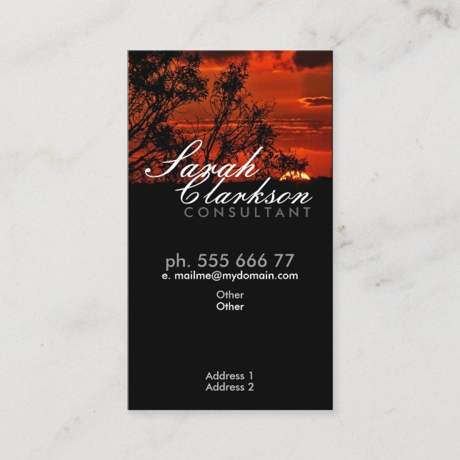 Red Sunset Horizon Vertical Business Card (Front)
