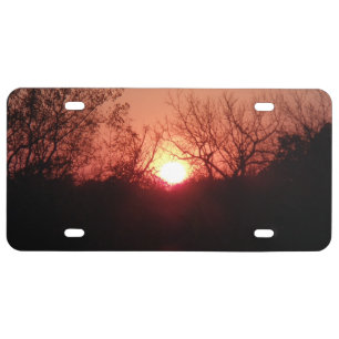 Red Sunset Silhouette Trees License Plate