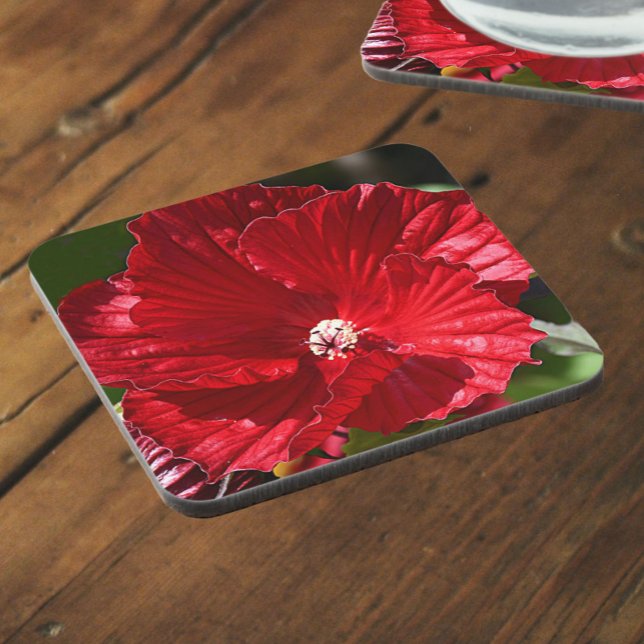 Red Swamp Hibiscus Bloom Floral Beverage Coaster (In Situ)