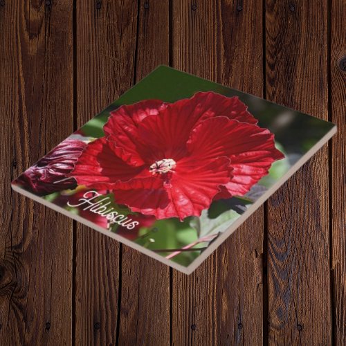 Red Swamp Hibiscus Bloom Floral Ceramic Tile