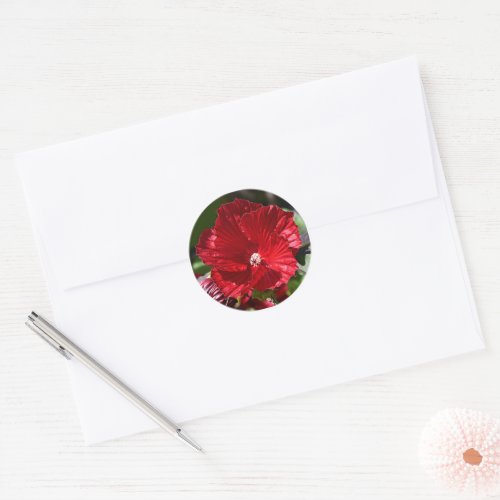 Red Swamp Hibiscus Bloom Floral Classic Round Sticker