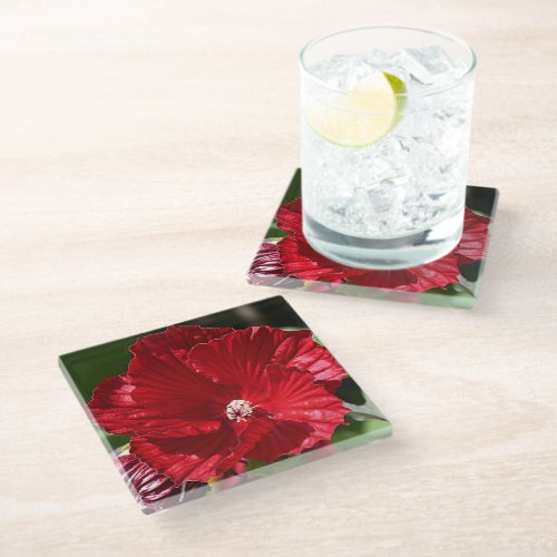 Red Swamp Hibiscus Bloom Floral Glass Coaster