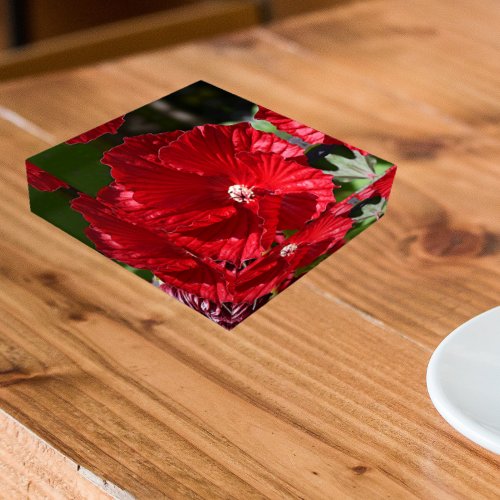 Red Swamp Hibiscus Bloom Floral Paperweight