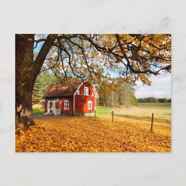 Red Swedish House Amongst Autumn Leaves Postcard (Front)