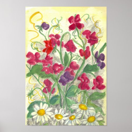 Red Sweet Pea Daisy Watercolor Garden Drawing Poster