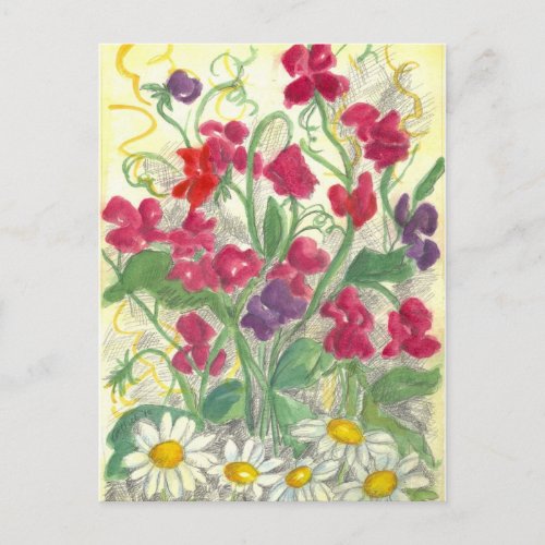 Red Sweet Pea Flower Garden Watercolor Drawing Postcard