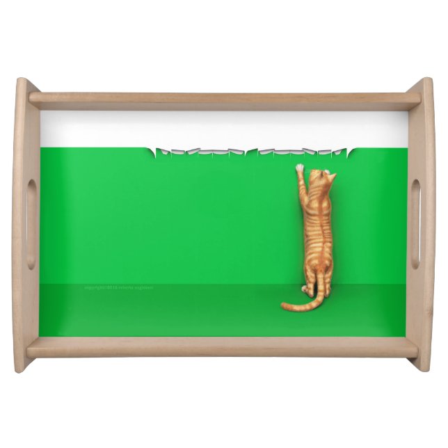 Red tabby cat rips paper serving tray (Front)