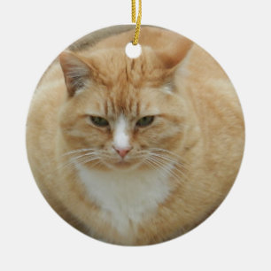 Red Tabby Ceramic Ornament