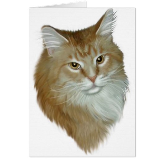 Red Tabby Maine Coon Cards (Front)