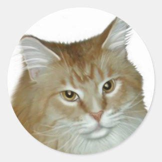 Red Tabby Maine Coon Classic Round Sticker