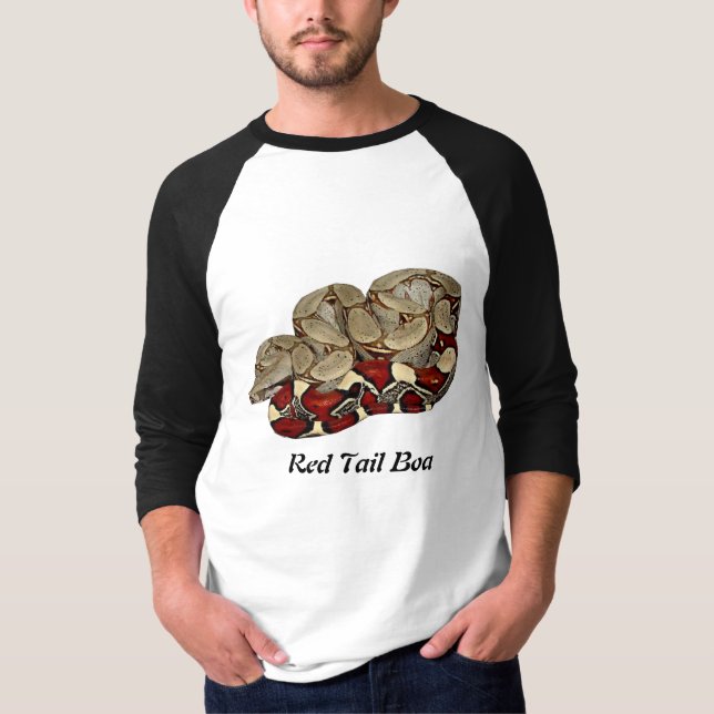 Red Tail Boa Basic 3/4 Sleeve Raglan T-Shirt (Front)