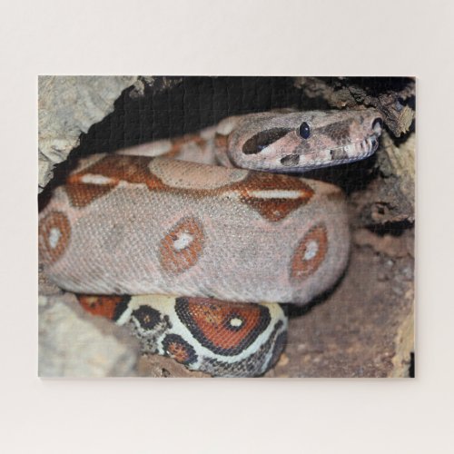 Red Tail Boa Constrictor Jigsaw Puzzle