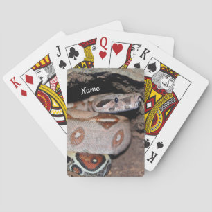 Red Tail Boa Constrictor Snake Poker Cards