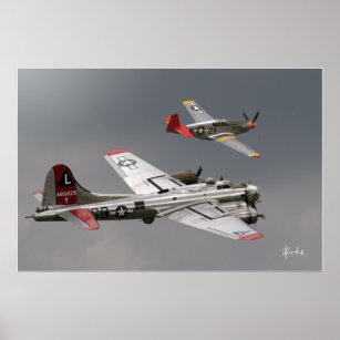Red Tail Escort Poster
