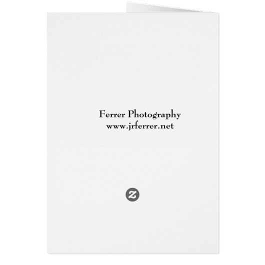 Red Tail Hawk (Back)