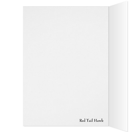 Red Tail Hawk (Inside (Left))