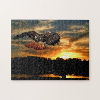Red Tail Hawk At Sunset Jigsaw Puzzle by deemac1 at Zazzle