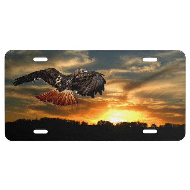 Red tail hawk at sunset license plate (Front)