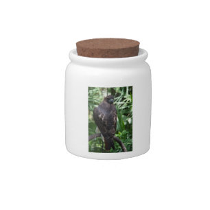 Red Tail Hawk Bird Candy Jar