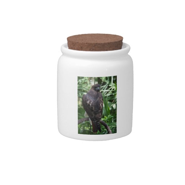Red Tail Hawk Bird Candy Jar (Front)