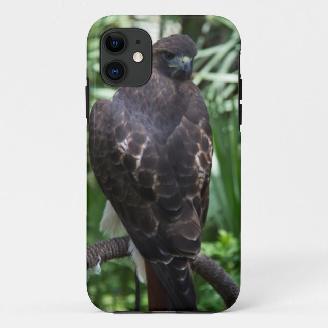 Red Tail Hawk Bird Case-Mate iPhone Case (Back)
