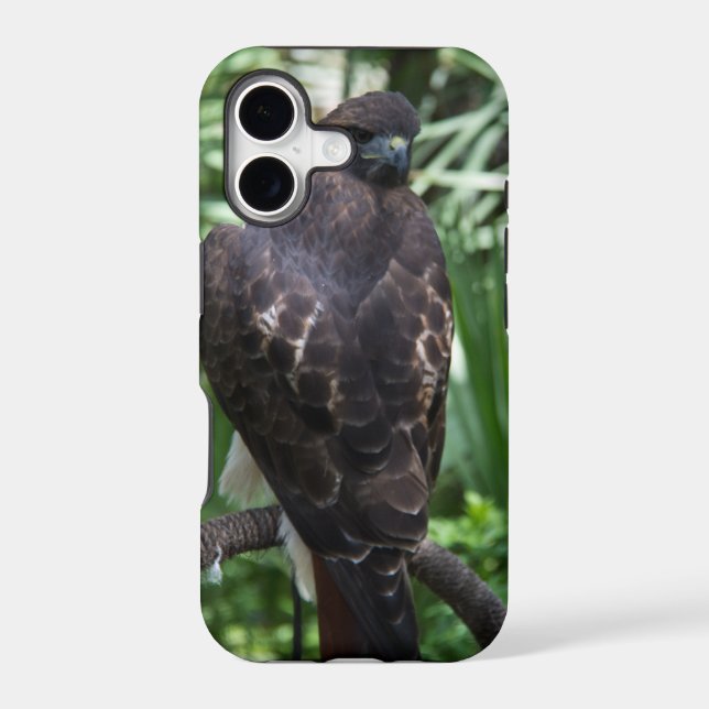 Red Tail Hawk Bird Iphone Case (Back)