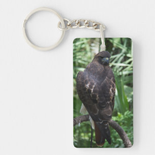 Red Tail Hawk Bird Keychain