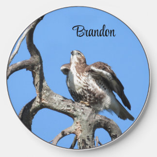 Red Tail Hawk, Bird Of Prey Wireless Charger