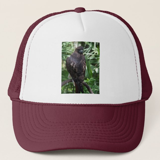 Red Tail Hawk Bird Trucker Hat (Front)