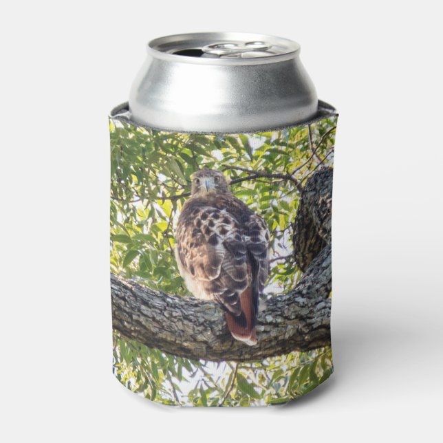 Red Tail Hawk Can Cooler (Can Front)