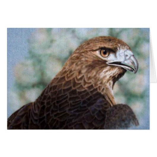 Red-tail Hawk Card (Front Horizontal)