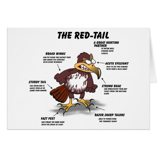 Red-tail Hawk Cartoon Cards (Front Horizontal)