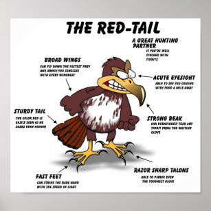 Red-tail Hawk Cartoon Poster