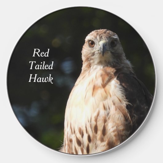 Red Tail Hawk Close Up Wireless Charger (Front)