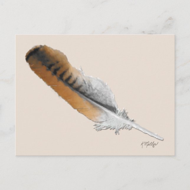 Red-tail Hawk feather Postcard (Front)