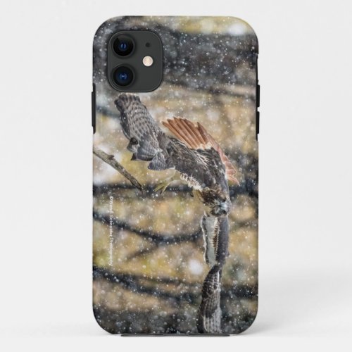 Red Tail Hawk in the Snow iPhone Case