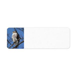 Red Tail Hawk Label