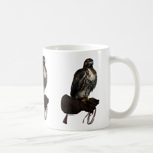 Red_tail Hawk on Glove Coffee Mug