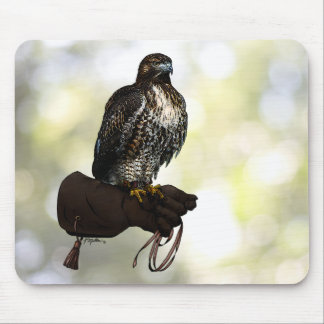 Red-tail Hawk on Glove Mouse Pad
