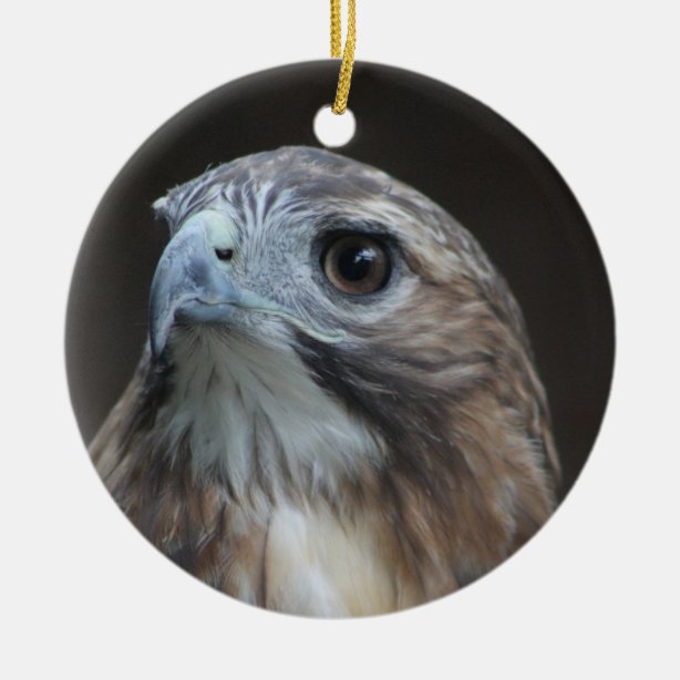 Hawk Christmas Ornament 