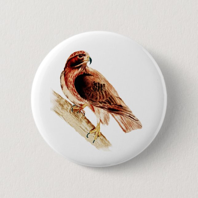 Red Tail Hawk Pinback Button (Front)