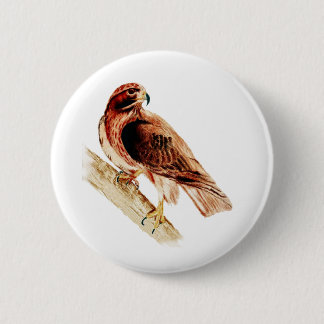 Red Tail Hawk Pinback Button