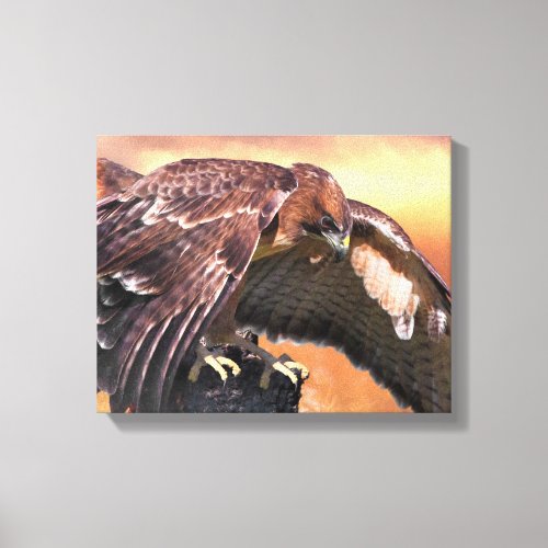 RED TAIL HAWK TOUCHDOWN CANVAS PRINT