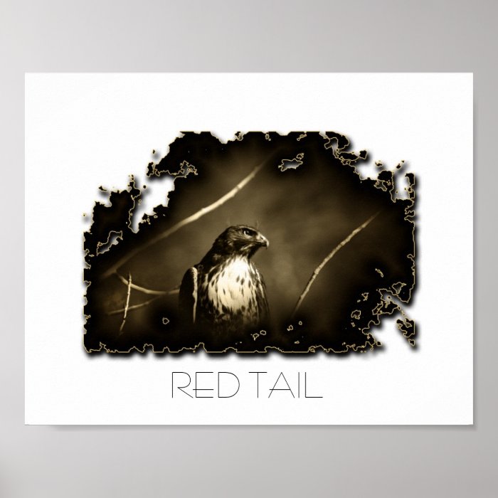 RED TAIL POSTER