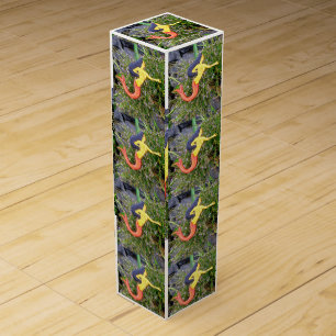 red-tail sirena mermaids wine gift box
